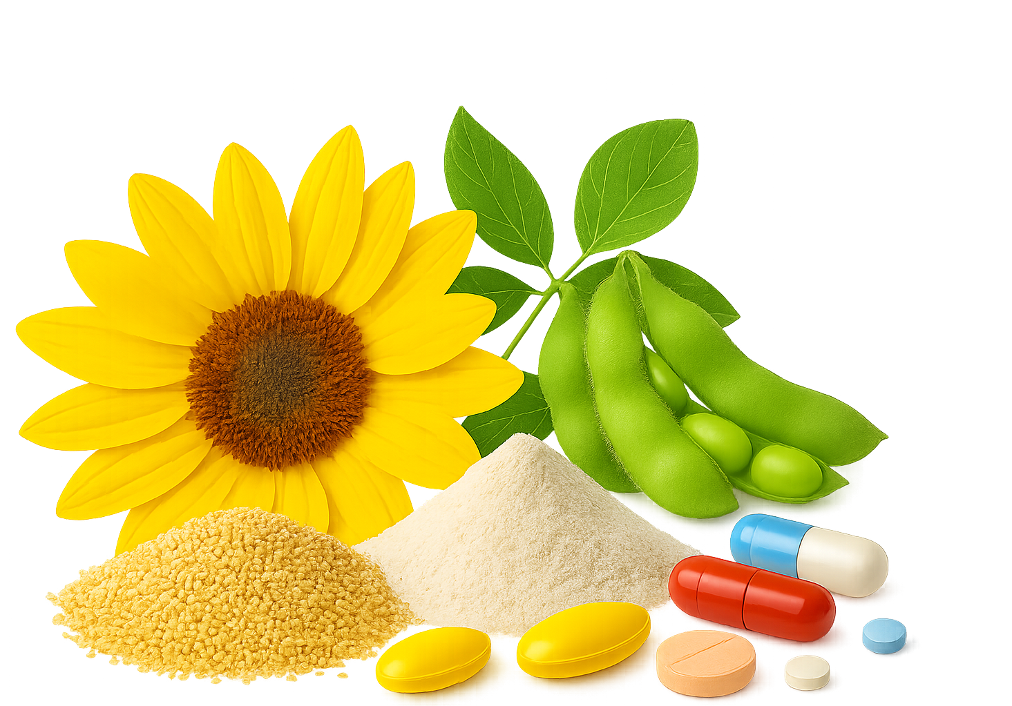 lecithin manufacturer in India