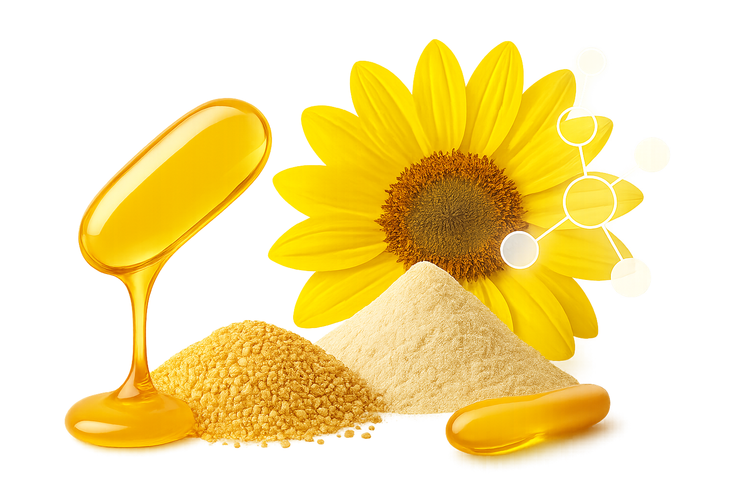 sunflower lecithin supplier